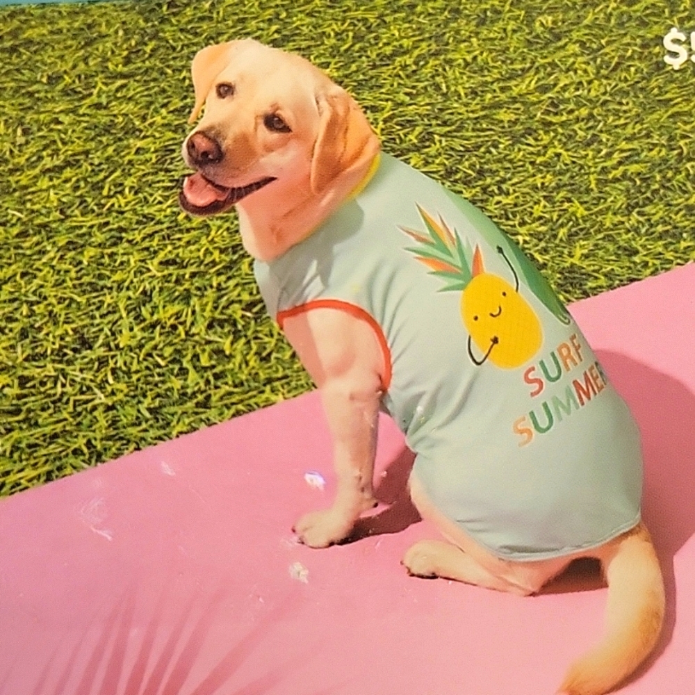 HP Sun Squad Large pet tank top SURF SUMMER pineapple surfboard aqua yellow New